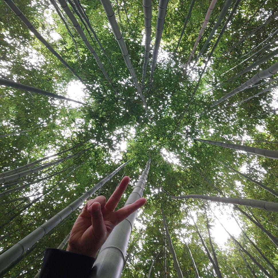 闲煮岁月