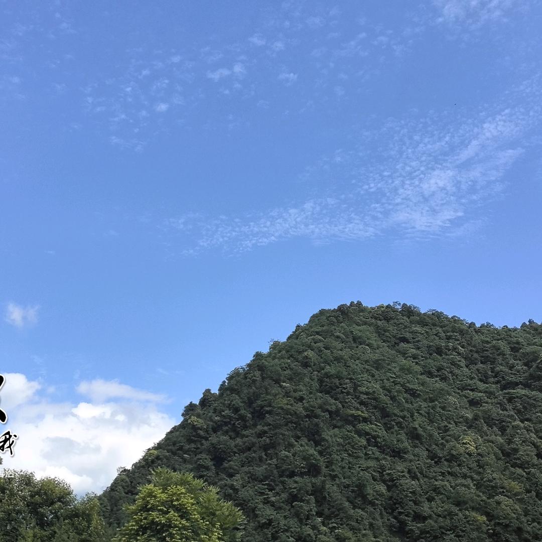 有才有趣有实力头像