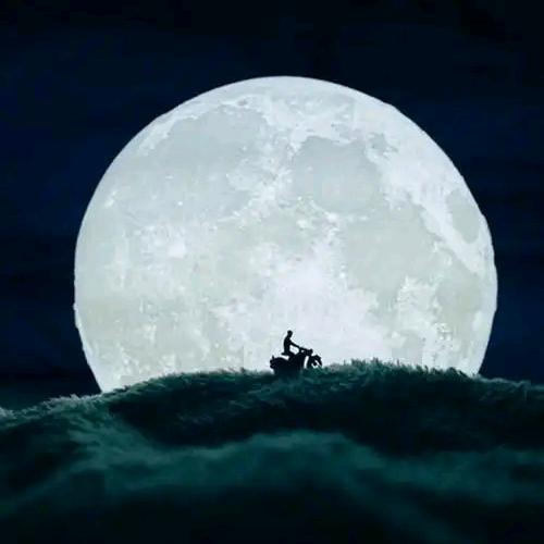 㸚㸚ㅤㅤㅤㅤㅤㅤ