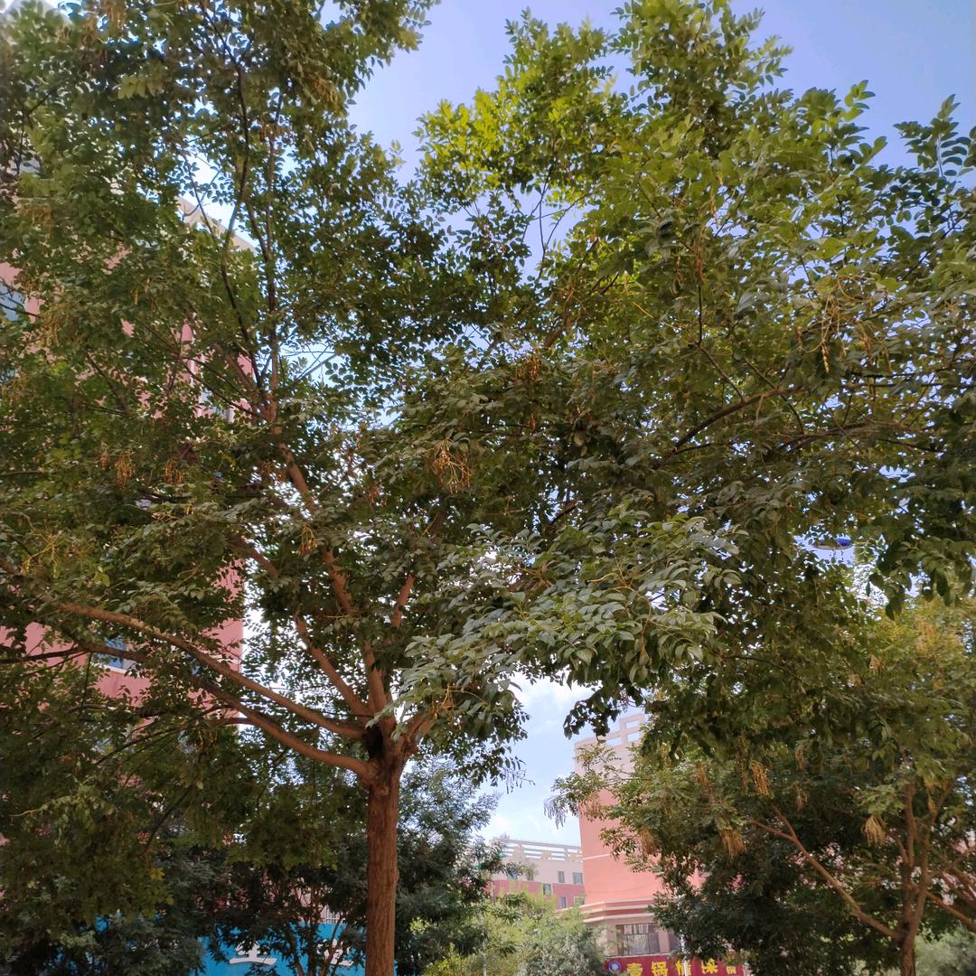 女中豪杰
