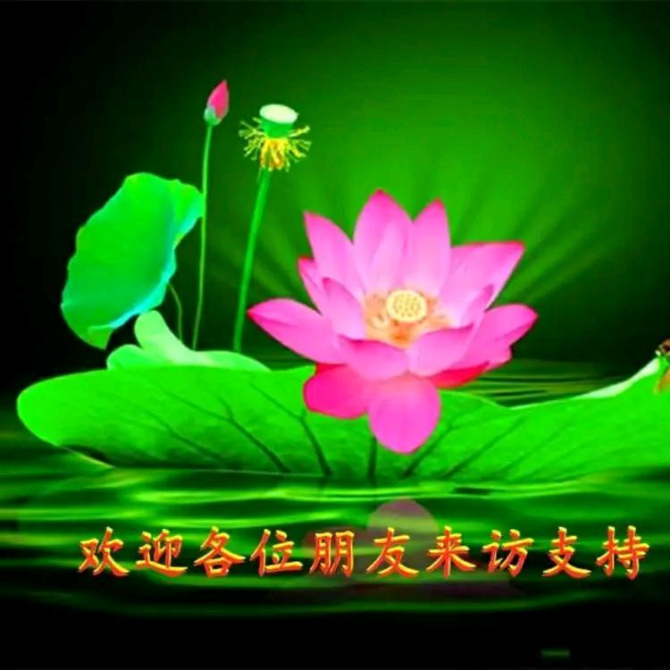 天下一路谁来走🐉🐉