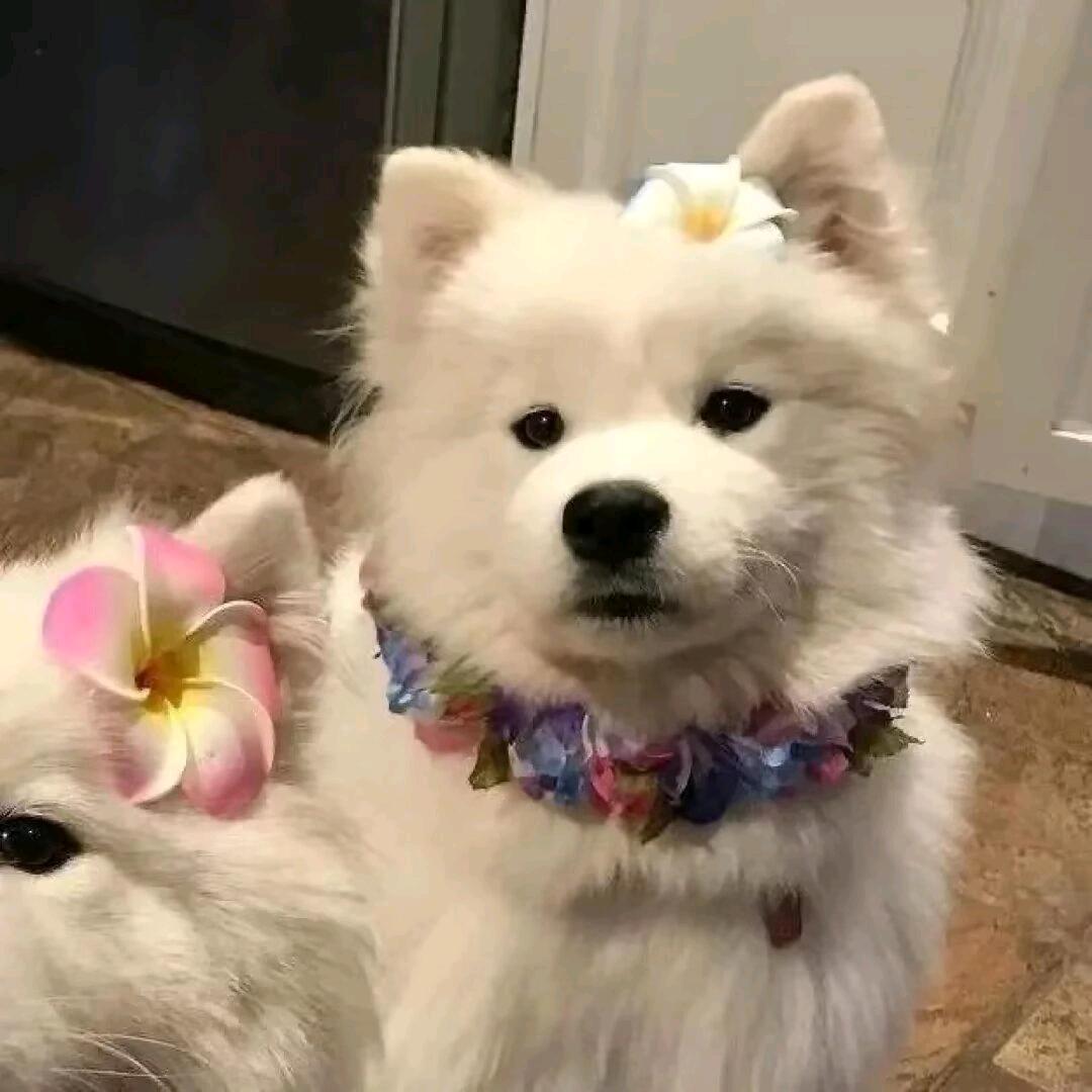 红红的美甲小铺