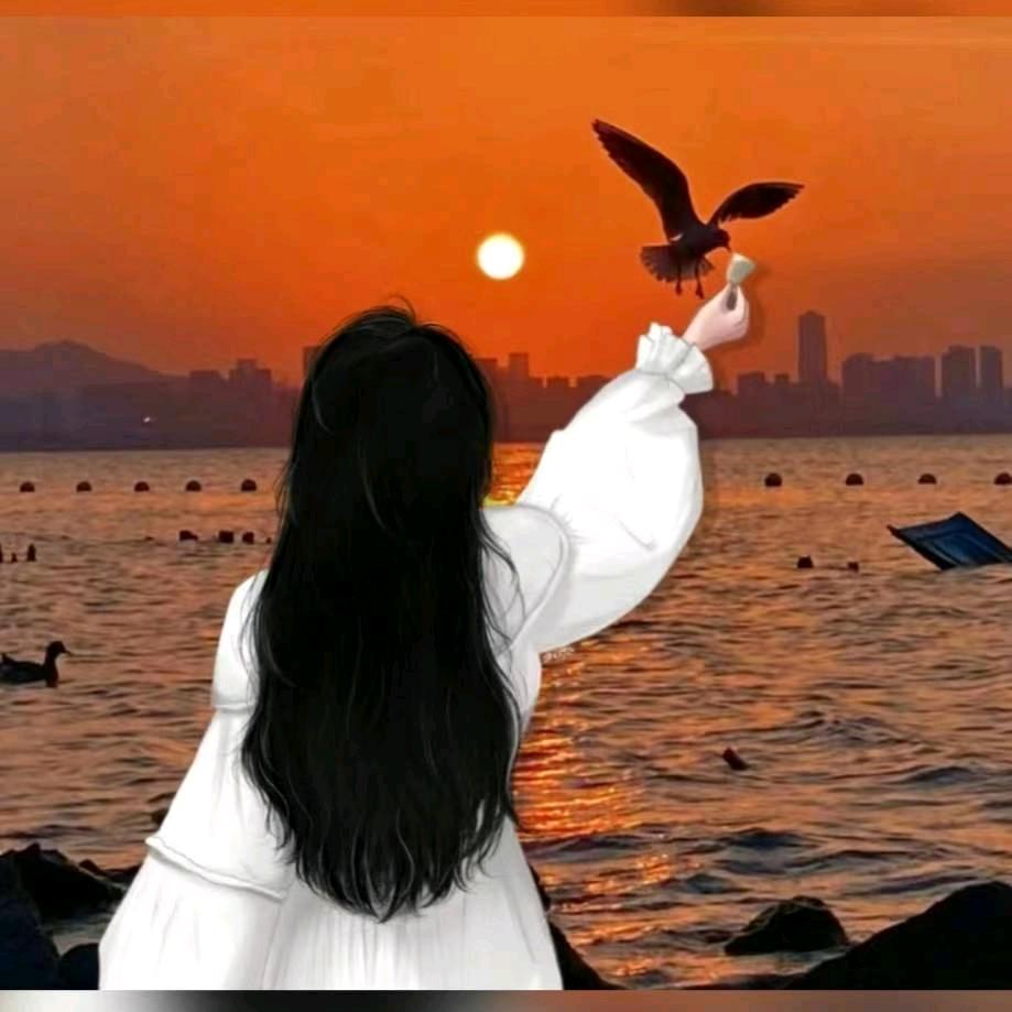 花，，，，木兰