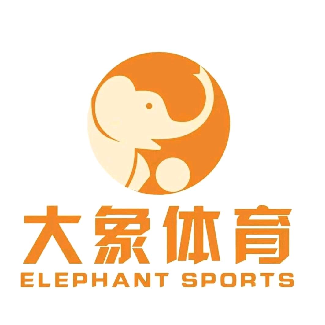 大象体育 赵教练