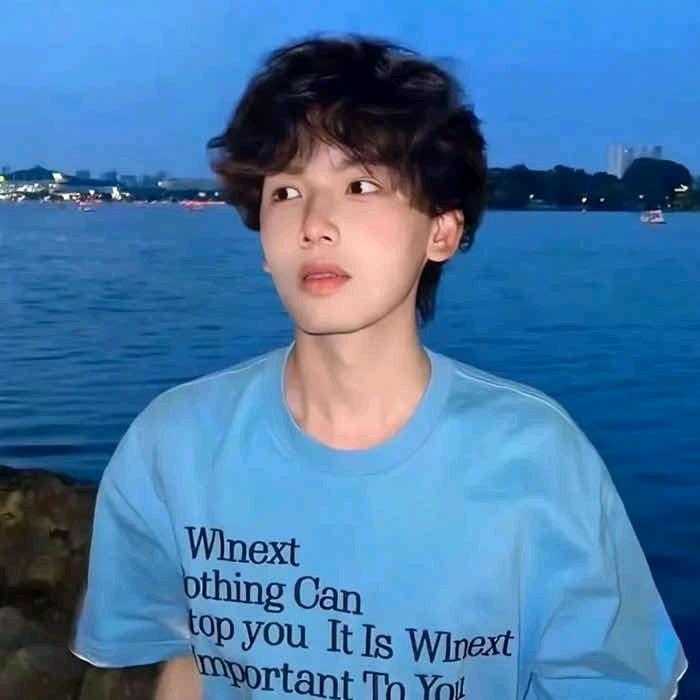 不做梵高.