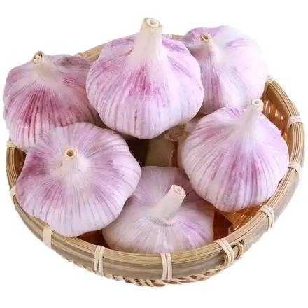 张迷瞪(收大蒜，花生)
