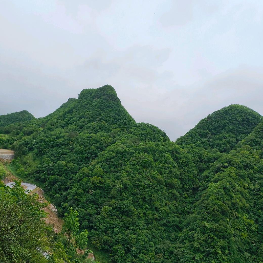 天涯随风