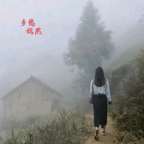 豫见拾光