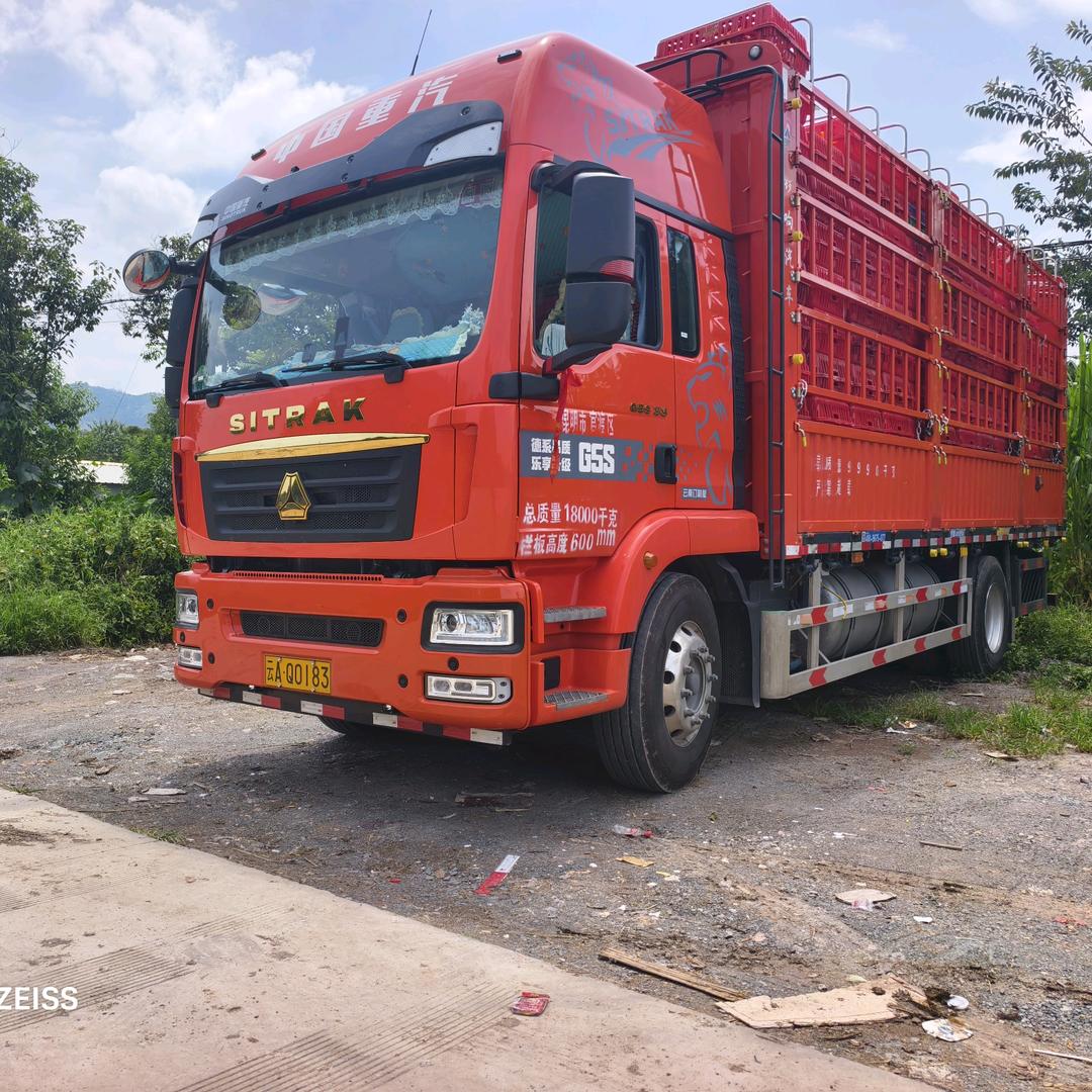 【丁鹏】活禽运输