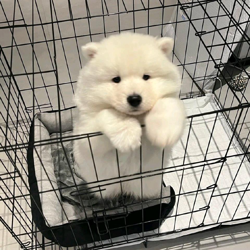 长情不常