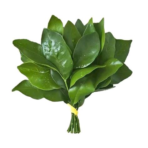 粥末見