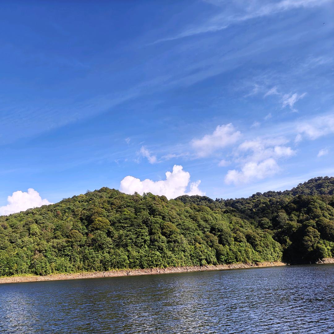 村上蠢树
