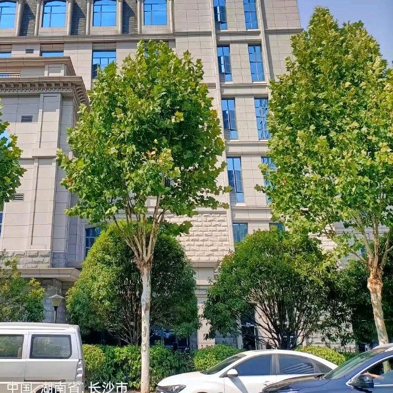 娄底市娄星区华才信息咨询部（个体工商户）