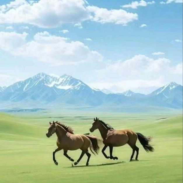 真空状态下的球形鸡