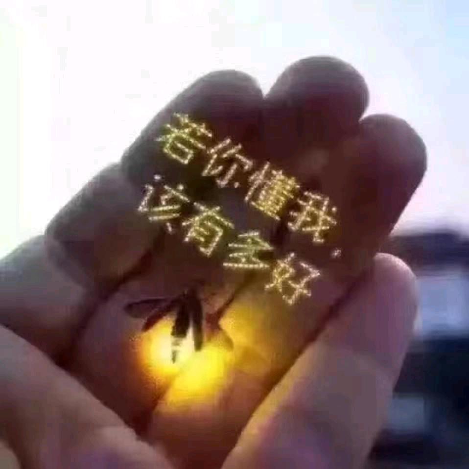 结伴同行