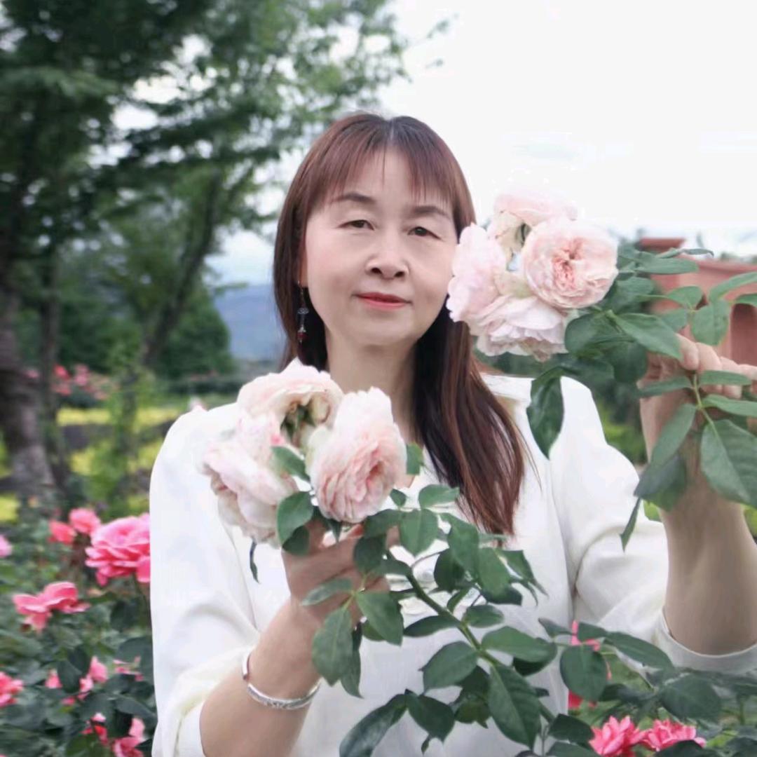 灿烂的阳光