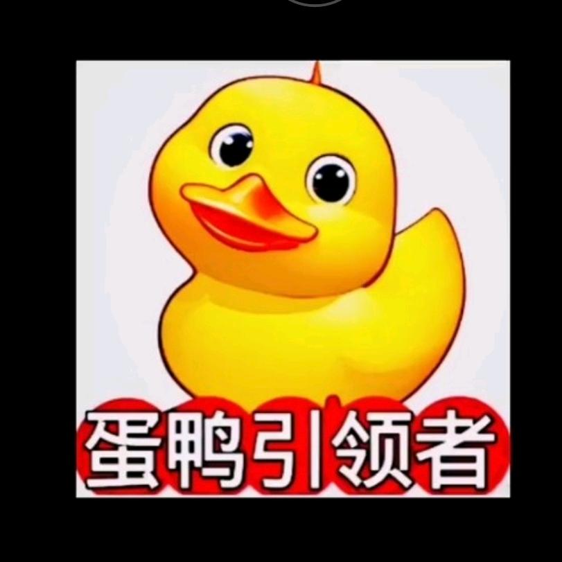 蛋鸭引领者