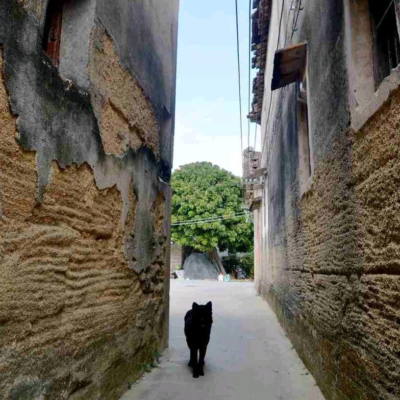 德藝堂（小鍾）