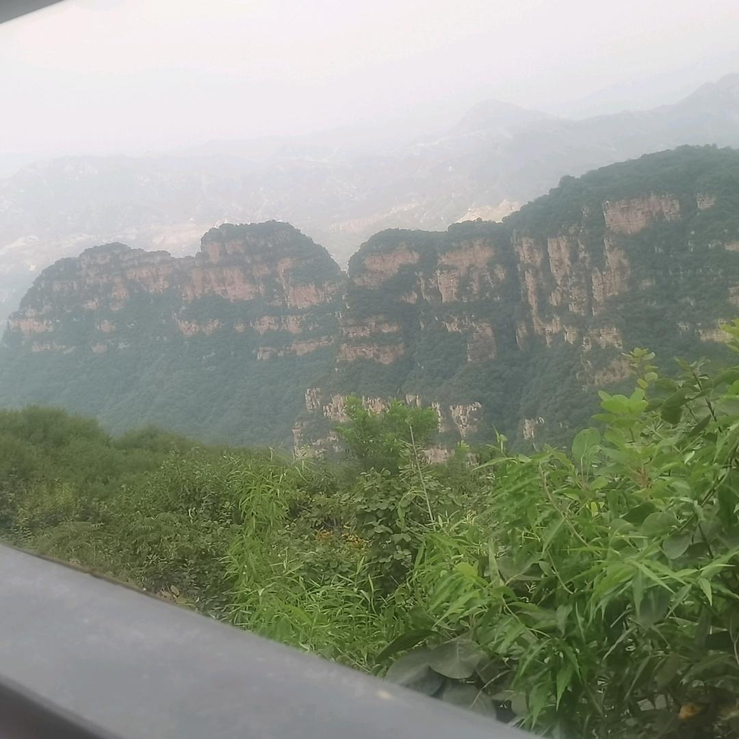 寻解1直播号