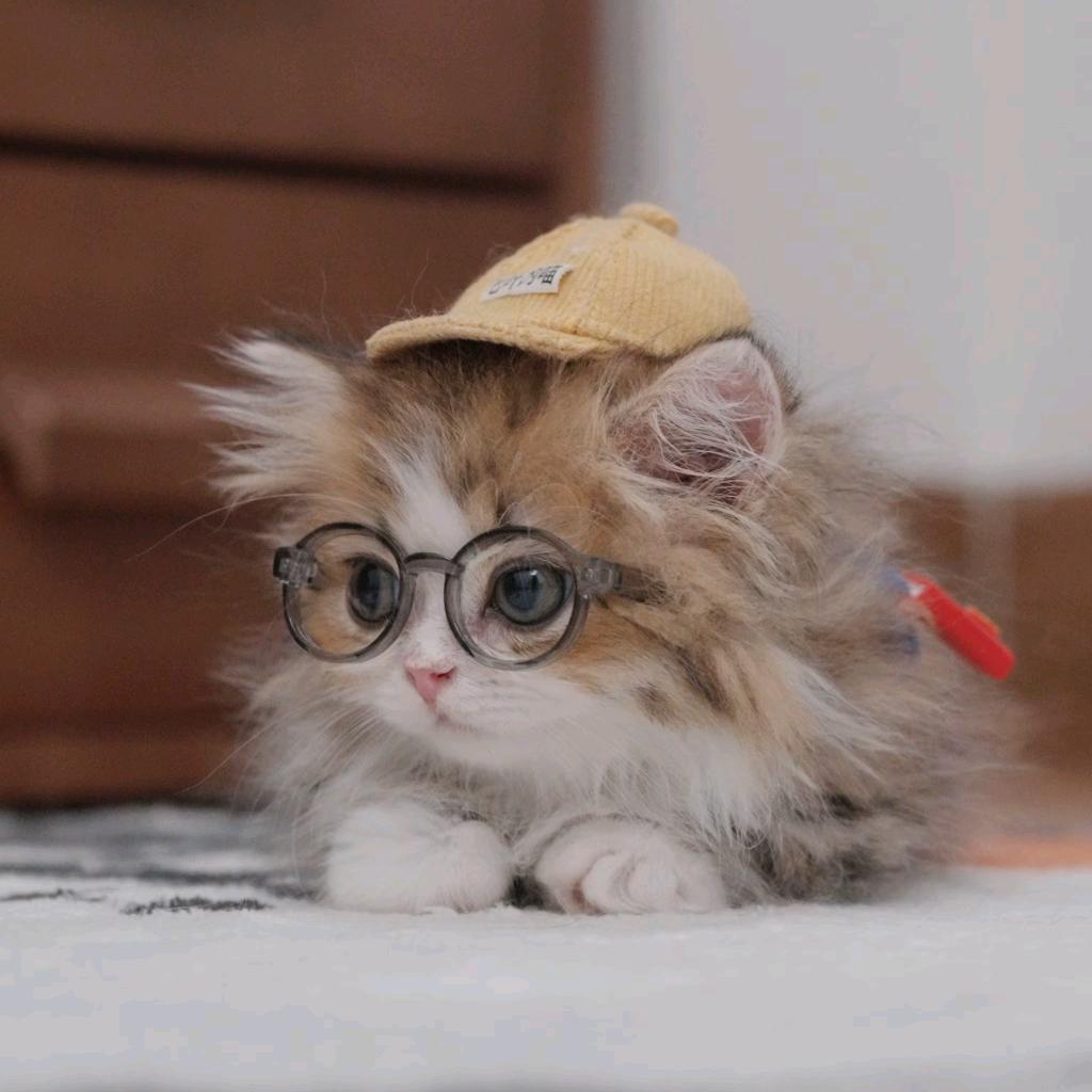 夜空下璀璨的你