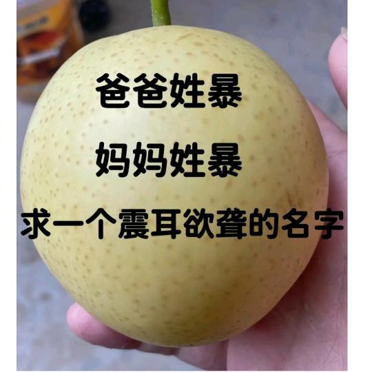 亚洲龙