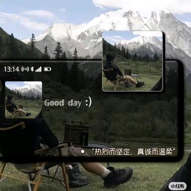 顺手牵杨