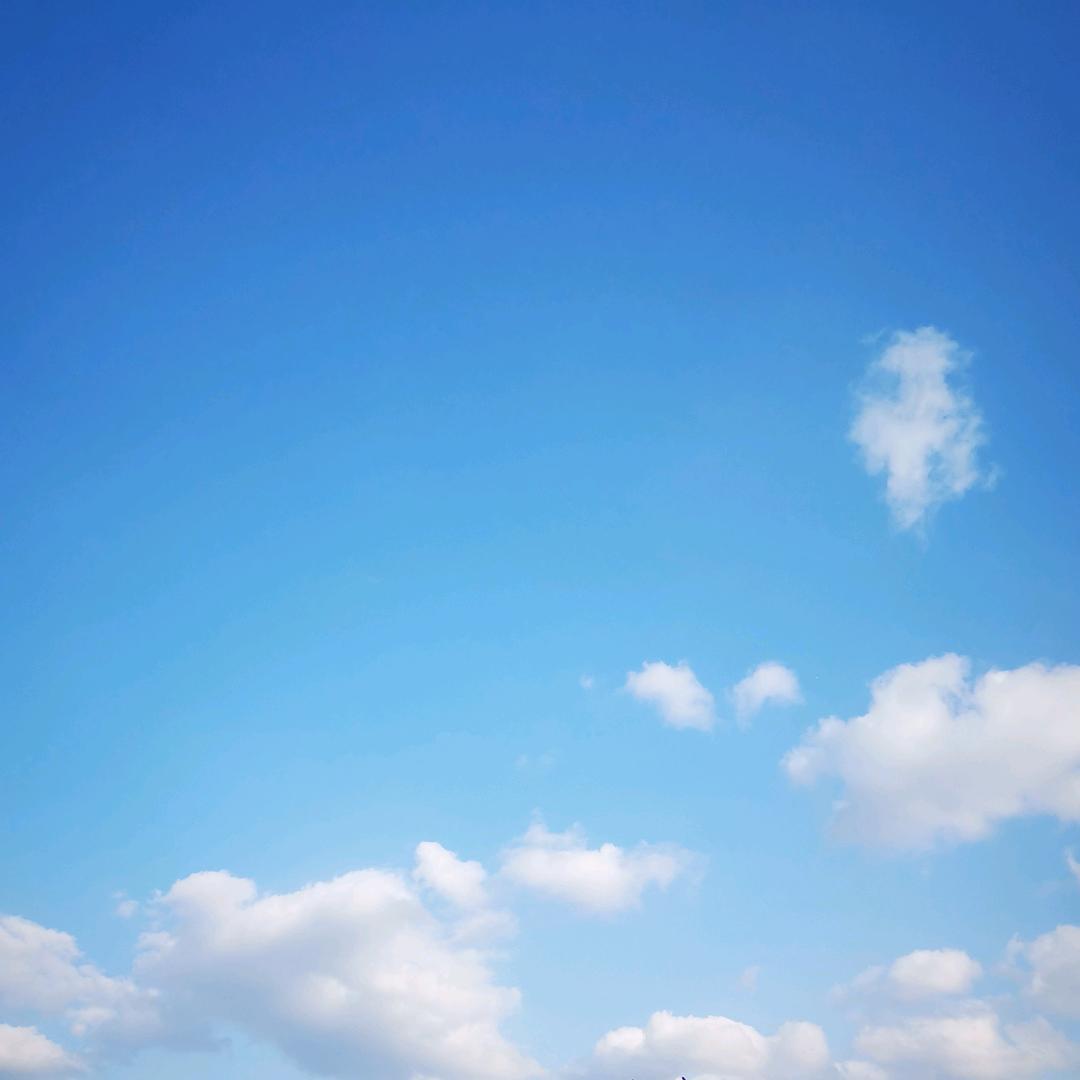 玲玲