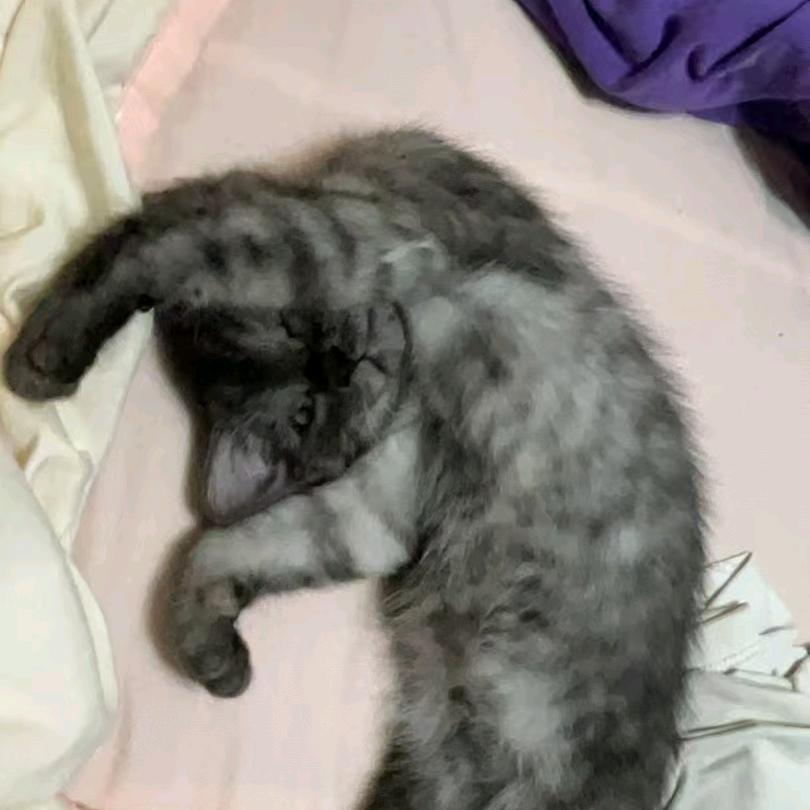 缺巴巴的牙齐齐