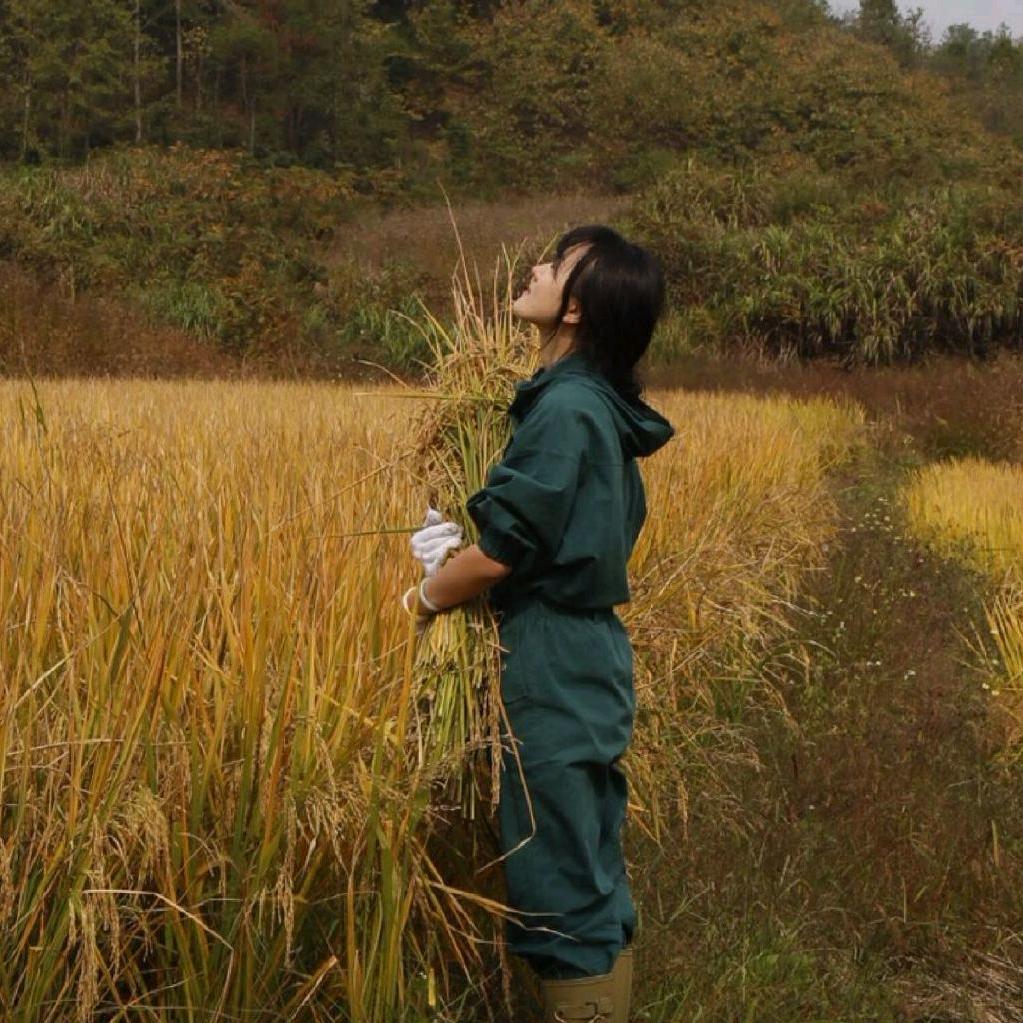 丽玲 严选