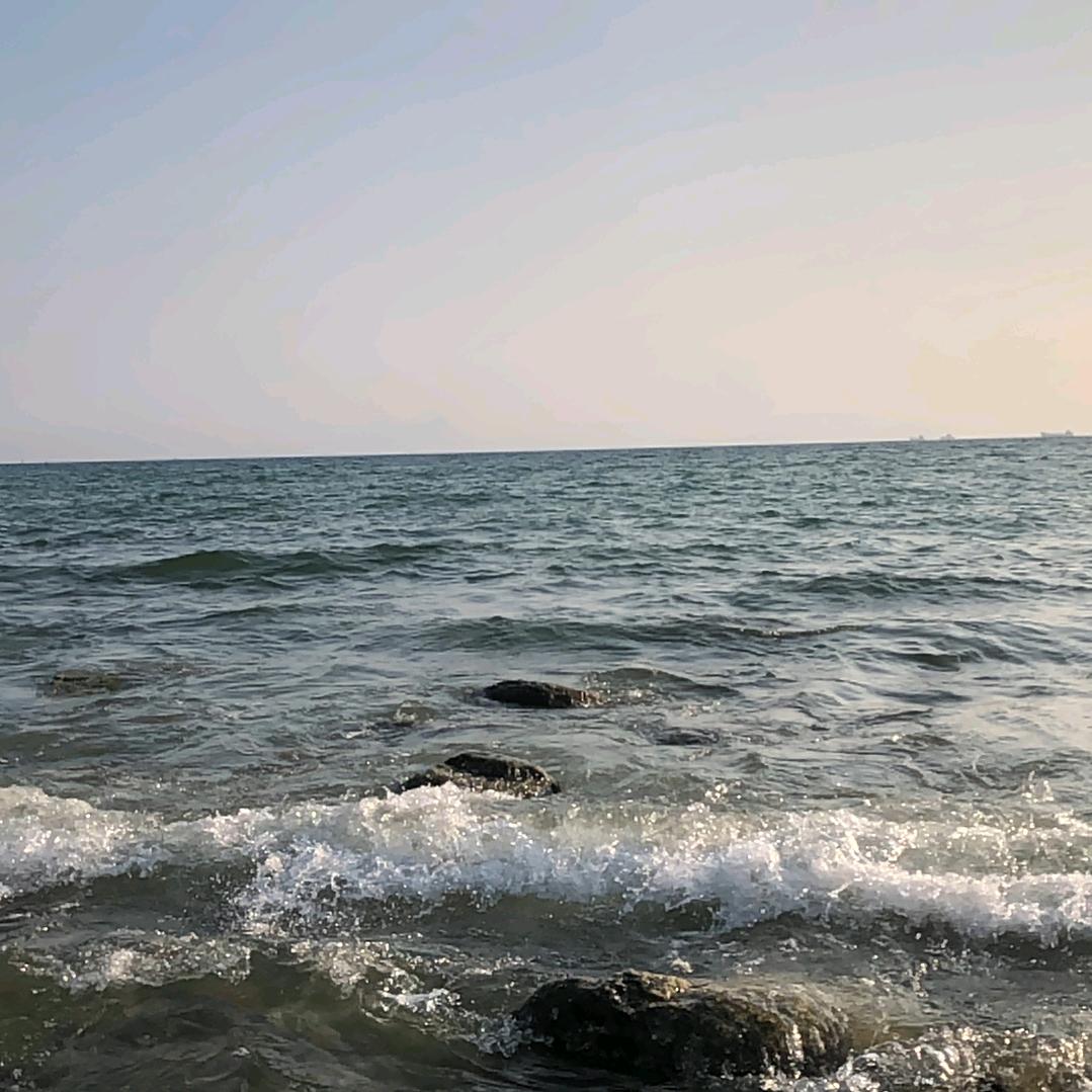 厚  🧡德 💛载   ❤️物