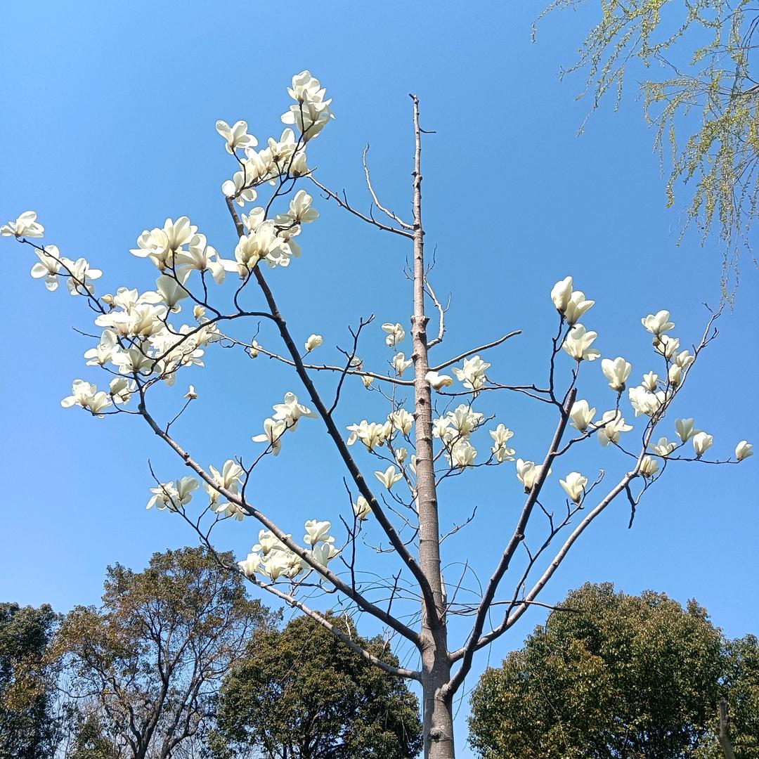 风和日丽