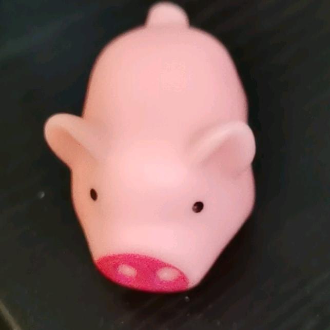 被胖子饿死的猪