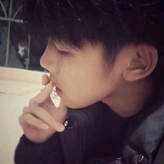 两年半(暴龙兽）