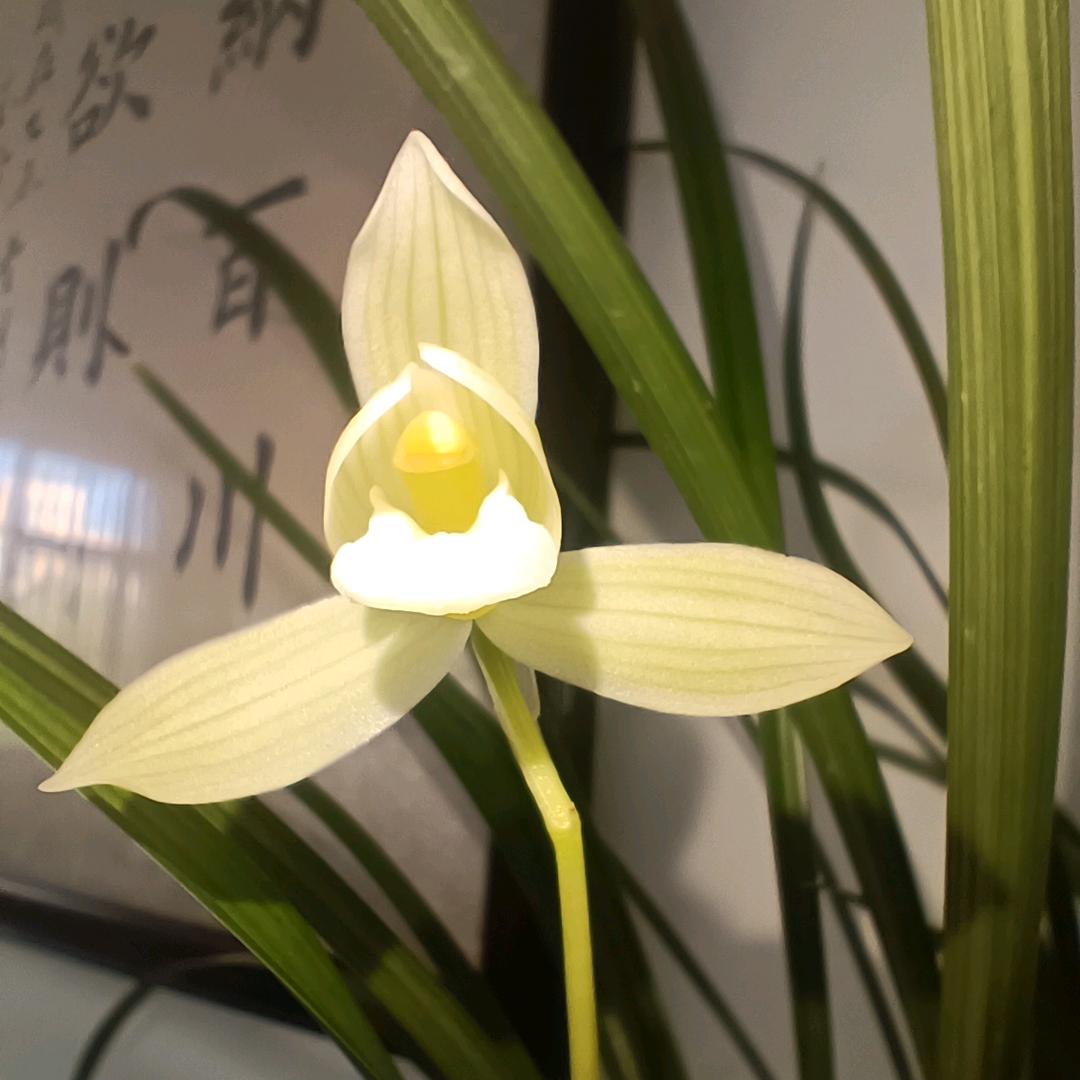 事遂心愿