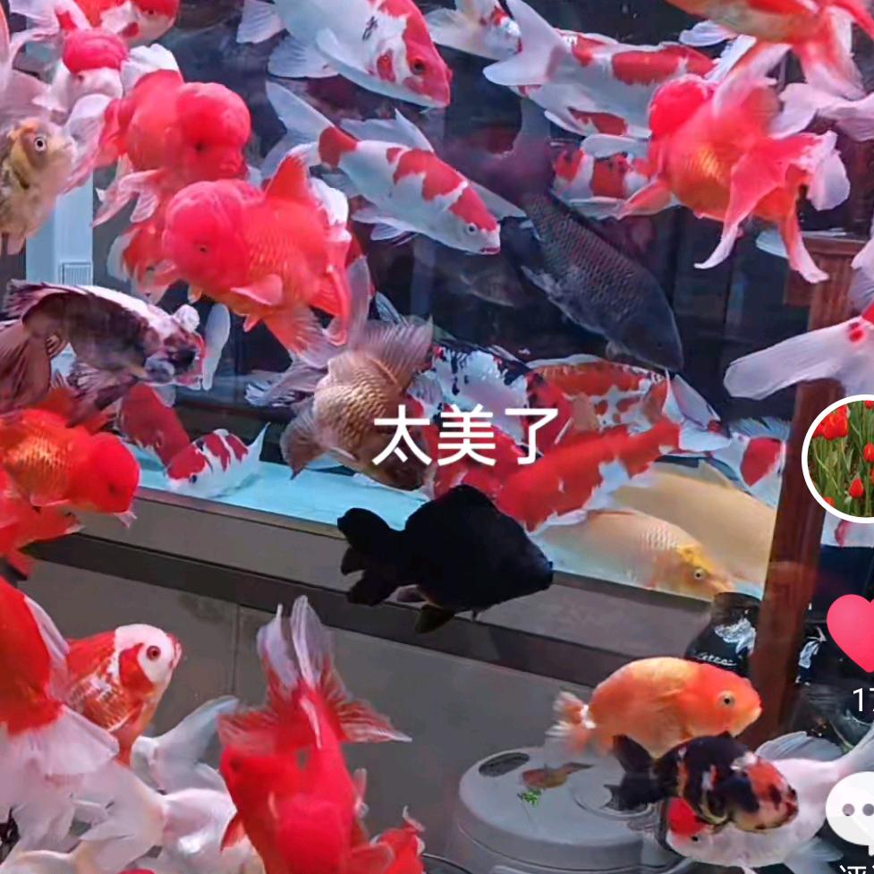 孤孤单单一个人。