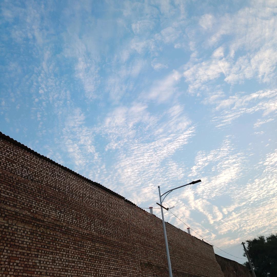 馋私猫川菜馆官方号