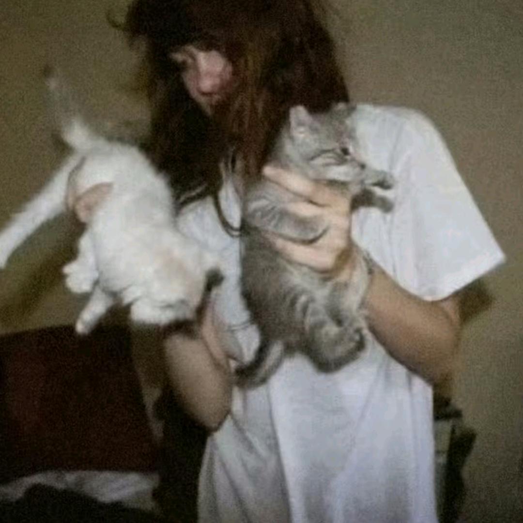 帅哥只是见我的门槛