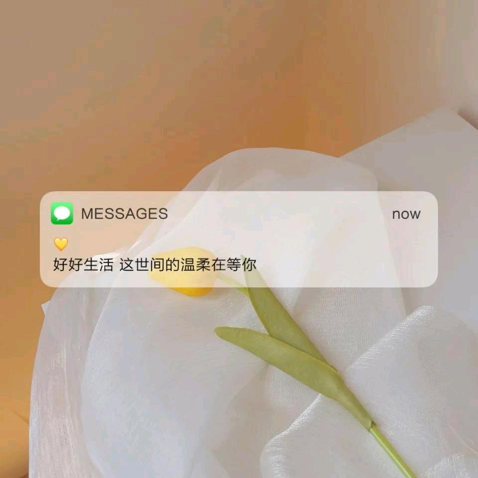 开心就好头像