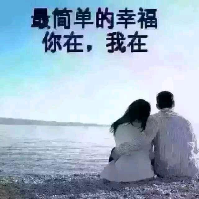 墨菊含香