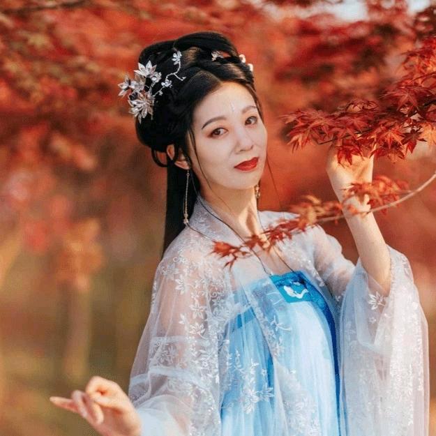 🌸白鹭燕🌸