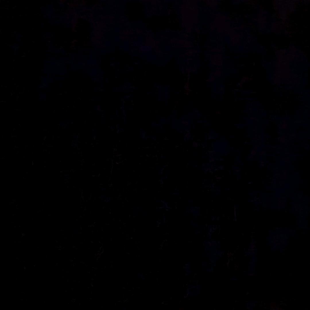 天天@