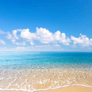 不晚——女性回归