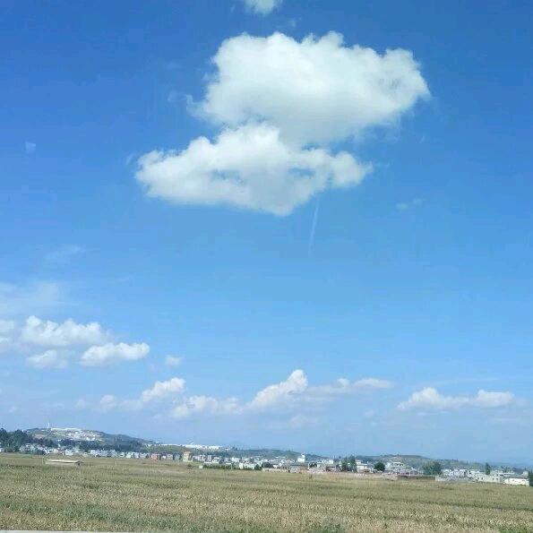 铃淇