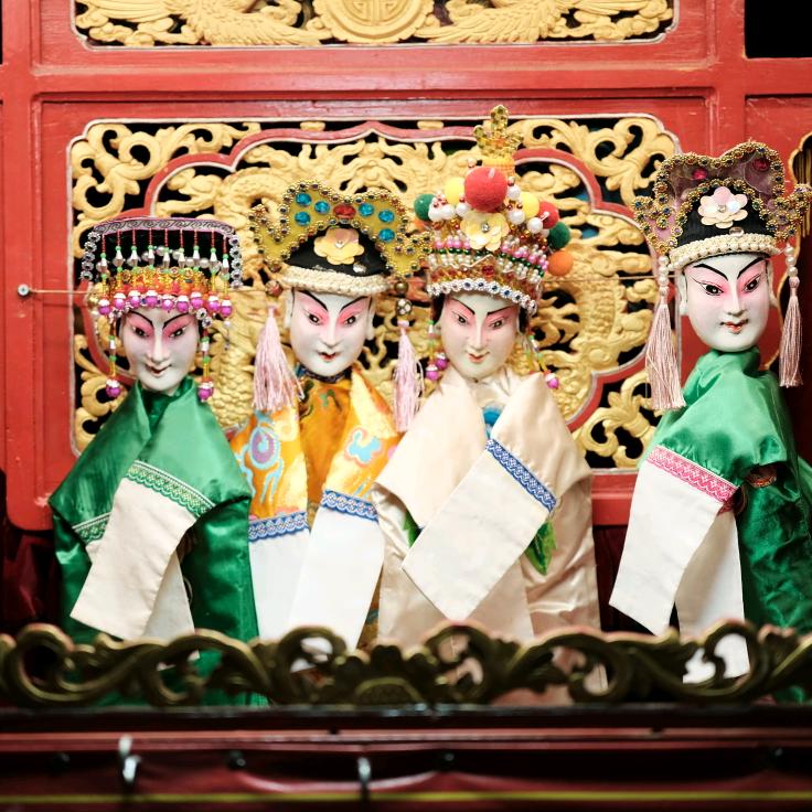 福鼎白茶布袋戏洪玉纱