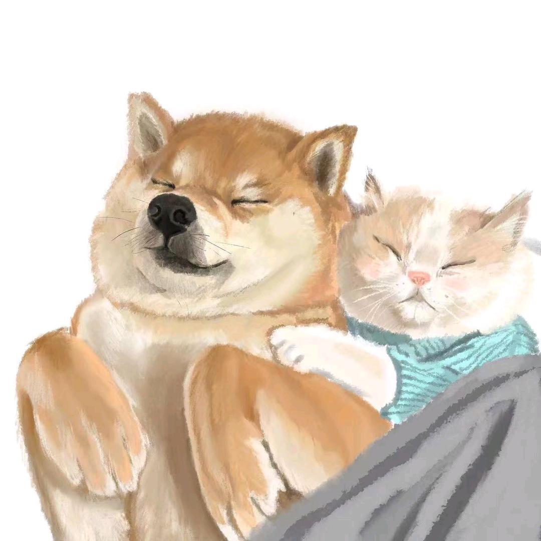 喵嘎宠物