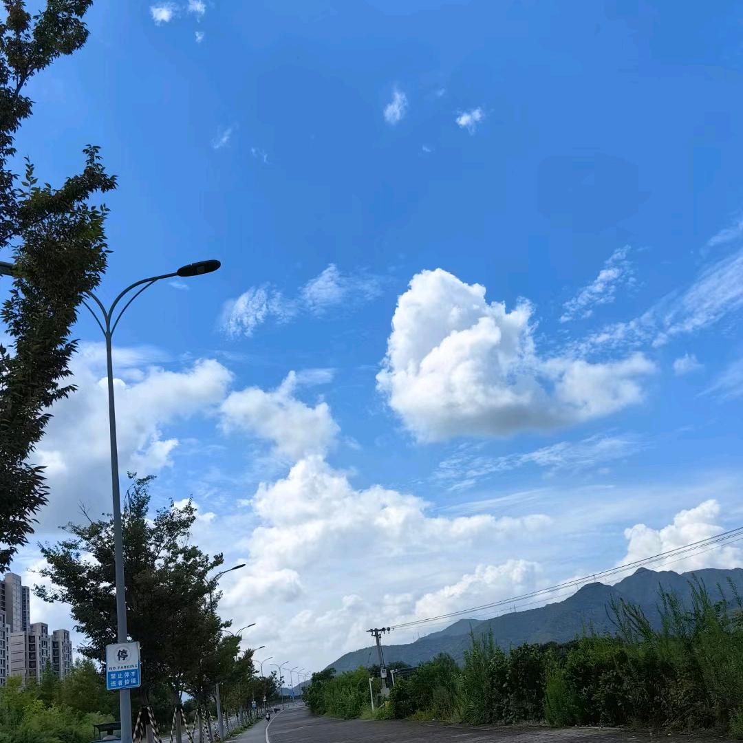 浮生醉清风