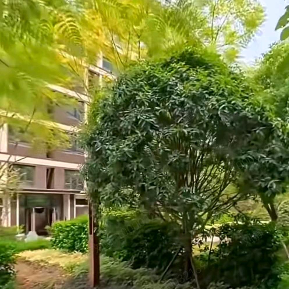 用户7005458205921
