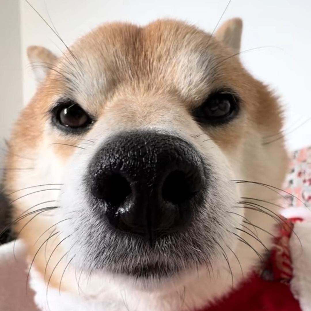寒信