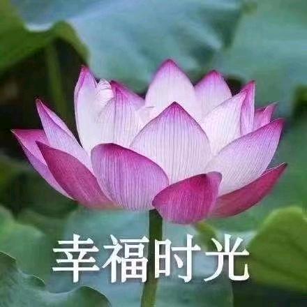 广西小蒙