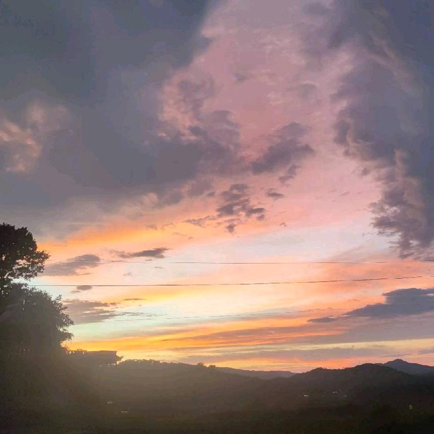 (_灬霧潵溡渢⑦﹋﹌